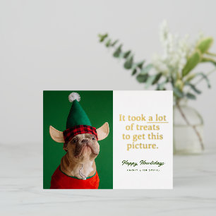 Carte Postale De Vacances En Aluminium Beaucoup de soins Happy Howlidays Funny Pet