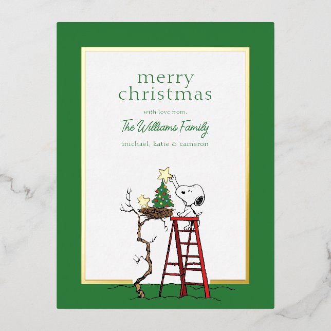 Carte Postale De Vacances En Aluminium cacahuètes | Photo de famille Snoopy & Woodstock (Recto)