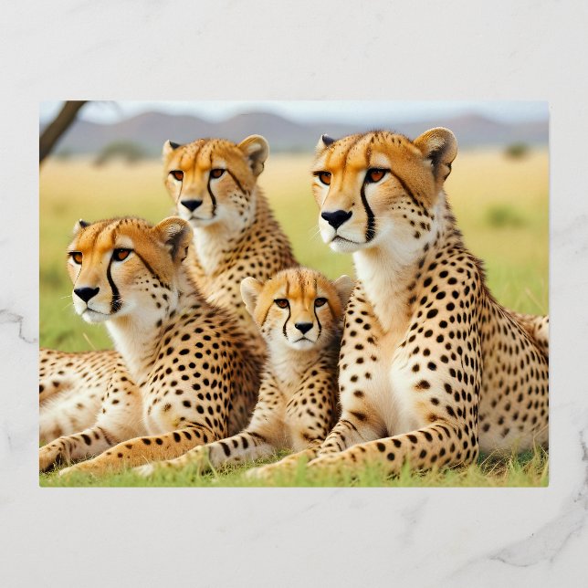 Carte Postale De Vacances En Aluminium Cheetah Animal Nature Faune Affection Soin (Recto)