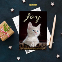 Christmas Joy | Photo Réaliste d'Animal de Compagn