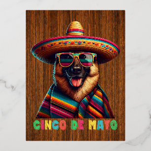 Carte Postale De Vacances En Aluminium Cinco De Mayo Berger Allemand Avec Poncho Sombrero