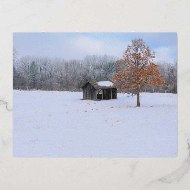 Carte postale de vacances en aluminium de paddock  (Recto)
