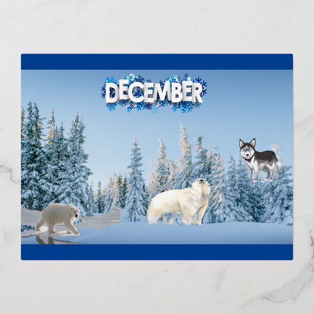 Carte Postale De Vacances En Aluminium Décembre (Recto)