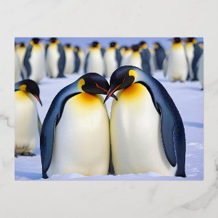 Carte Postale De Vacances En Aluminium Empereur Penguins Animal Nature Wildlife Affection