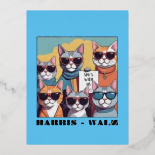 Carte Postale De Vacances En Aluminium Femme de chat sans enfant dames de chat sans enfan