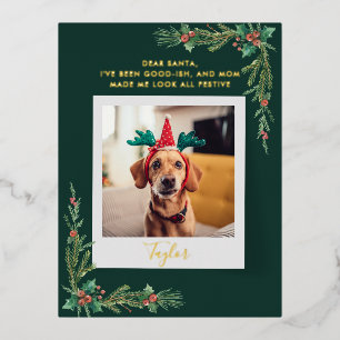 Carte Postale De Vacances En Aluminium Festif Chien Photo Custom Christmas