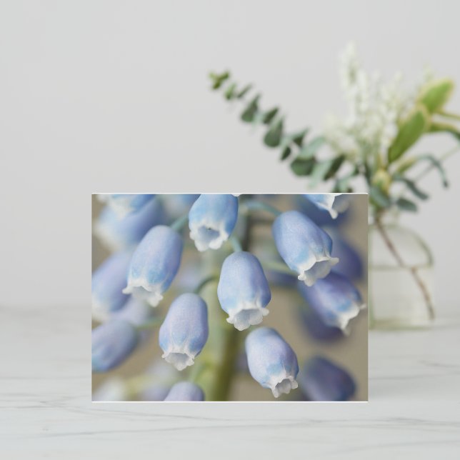 Carte Postale De Vacances En Aluminium Fleurs de Muscari (Debout devant)