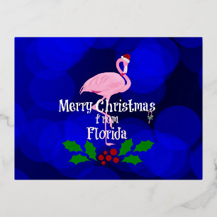 Carte Postale De Vacances En Aluminium Florida Noël Salutations de Père Noël Flamant rose