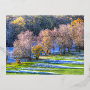 Carte Postale De Vacances En Aluminium Frost du matin du dartmoor
