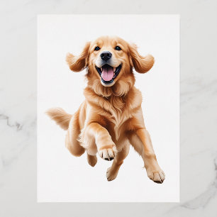 Carte Postale De Vacances En Aluminium Golden Retriever Joyeux Jouer Fun Jumping En Air
