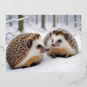Carte Postale De Vacances En Aluminium Hérisson Animal Nature Animale Animaux Affection A
