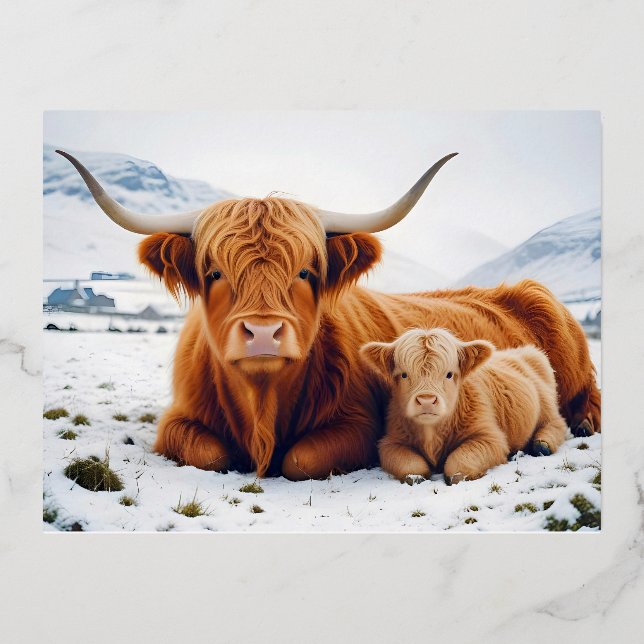 Carte Postale De Vacances En Aluminium Highland Cow Animal Nature Animale Affection Faune (Recto)