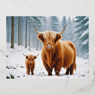 Carte Postale De Vacances En Aluminium Highland Cow Animal Nature Animale Affection Faune
