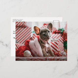 Carte Postale De Vacances En Aluminium Joyeux Howlidays Foil Empreinte de patte Dog Holid