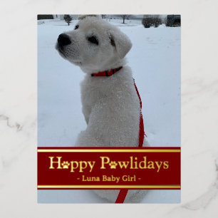 Carte Postale De Vacances En Aluminium Joyeux Pawlidays