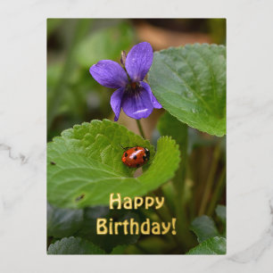 Carte Postale De Vacances En Aluminium Ladybug sur les fleurs de violet doux