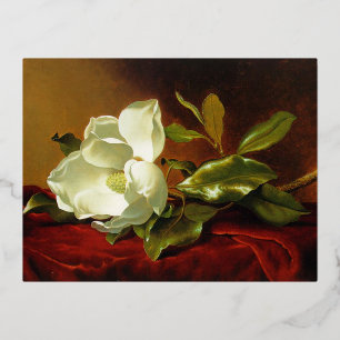 Carte Postale De Vacances En Aluminium Martin Johnson Heade Magnolia Vintage