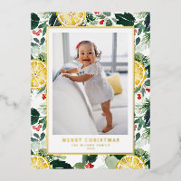 Modèle de photo de Noël avec agrumes d'hiver et ve