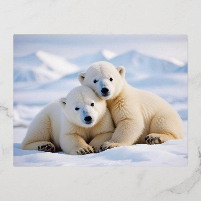 Carte Postale De Vacances En Aluminium Ours polaire Animal Nature Animaux Affection Faune (Recto)