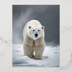 Carte Postale De Vacances En Aluminium Ours Polaire Faune Majestic Nature Vie Fond d'écra