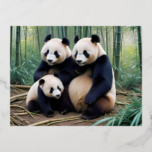 Carte Postale De Vacances En Aluminium Panda Animal Nature Faune Affection Soins