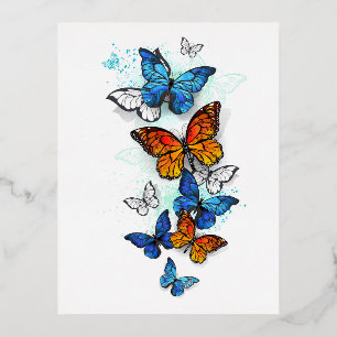 Carte Postale De Vacances En Aluminium Papillons volants Morpho et Monarch
