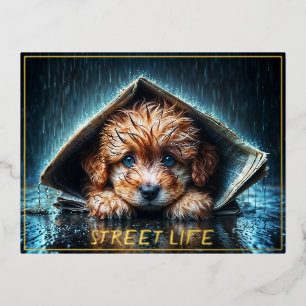 Carte Postale De Vacances En Aluminium Petit chien mignon dans la pluie jour avec les yeu