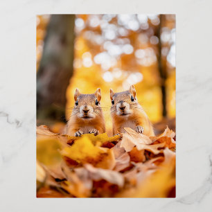 Carte Postale De Vacances En Aluminium Portrait aimant l'écureuil sauvage 