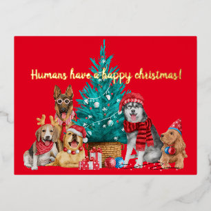 Carte Postale De Vacances En Aluminium Sacoche de Noël de chiens sous l'arbre carte posta