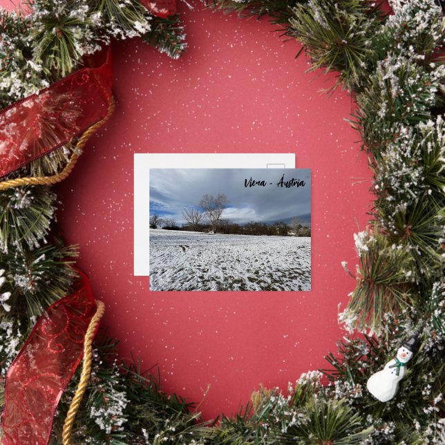 Carte Postale De Vacances En Aluminium Viena - Áustria (Insitu)