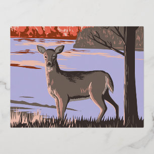 Carte Postale De Vacances En Aluminium White Tailed