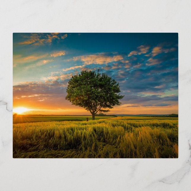 Carte postale de vacances en papier d'aluminium (Recto)