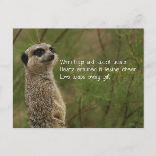 Carte postale de vacances Meercat Haiku (Devant)
