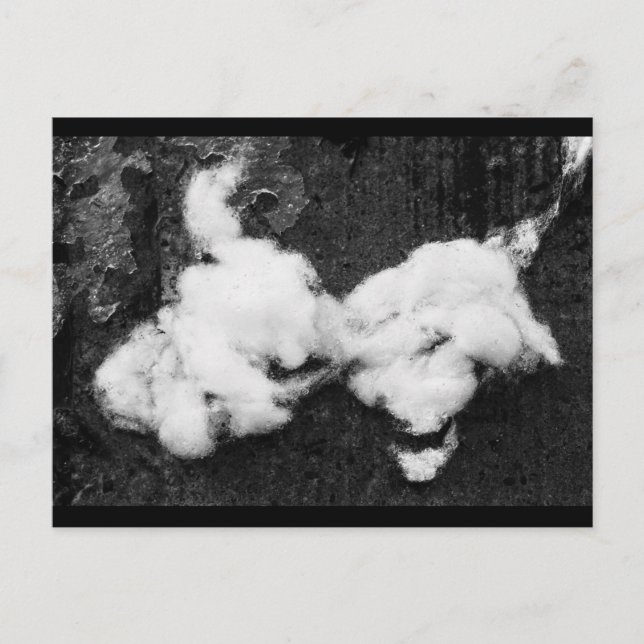 carte postale de vacances moelleuse (Devant)