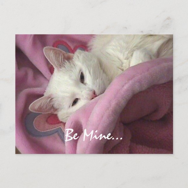 Carte postale de Valentine (Devant)