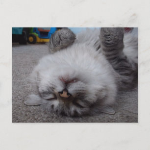 Carte postale de vampire