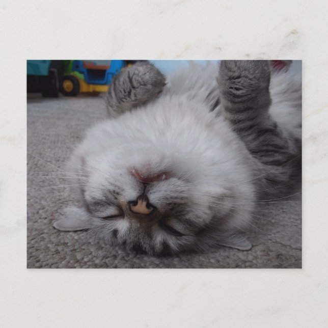 Carte postale de vampire (Devant)