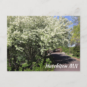 Carte postale de Veterans Memorial Park Hutchinson