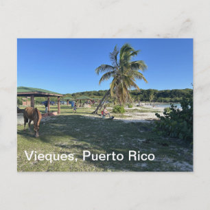 Carte postale de Vieques, Porto Rico