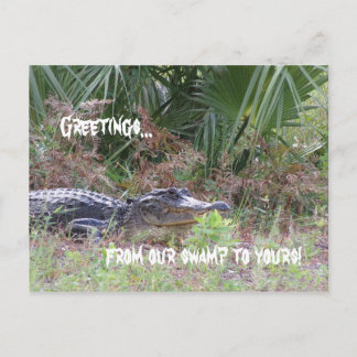 Carte postale de voeux Alligator
