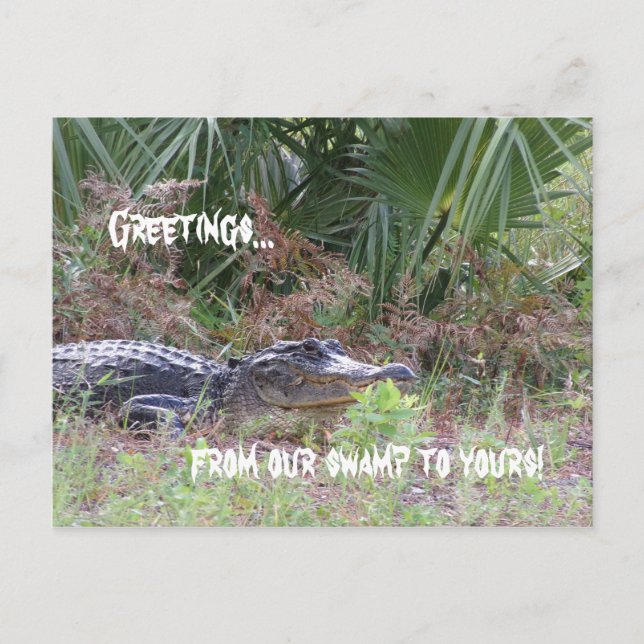 Carte postale de voeux Alligator (Devant)