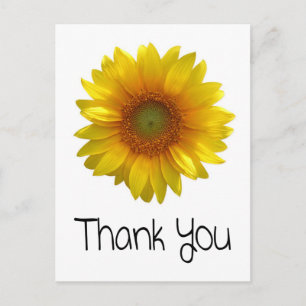 Carte postale de voeux de tournesol Merci personna
