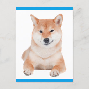 Carte postale de voeux pour chien chiot Shiba Inu