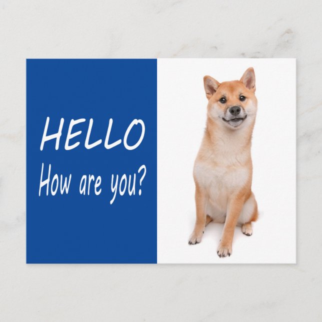 Carte postale de voeux pour chien chiot Shiba Inu (Devant)