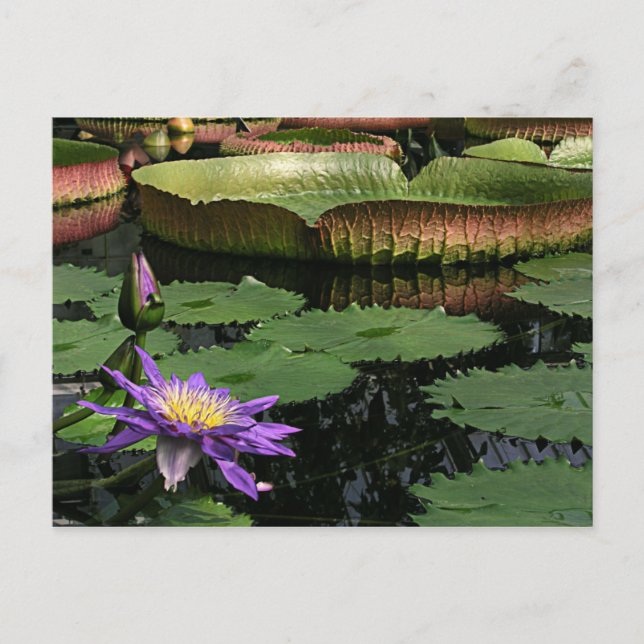 Carte postale de voyage 1 (Devant)