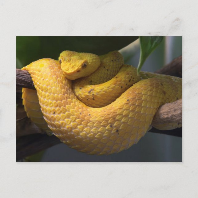 Carte postale de voyage 2 (Devant)