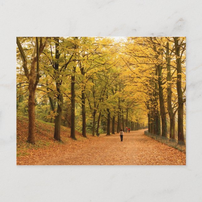 Carte postale de voyage 28 (Devant)