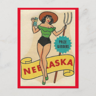 Carte postale de voyage de fille pin up vintage Ne