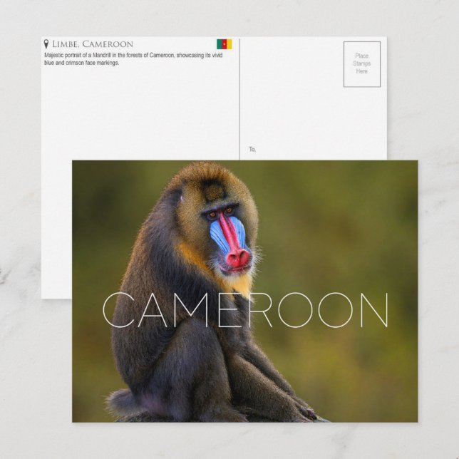 Carte postale de voyage de Limbe Wildlife, Camerou (Devant / Derrière)