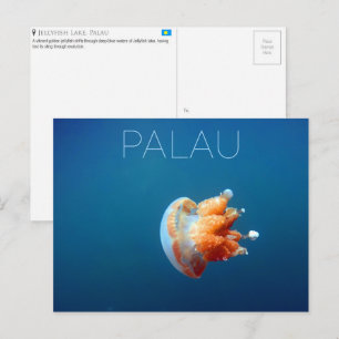 Carte postale de voyage du lac Jellyfish, Palaos